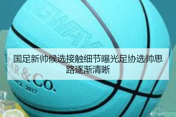 国足新帅候选接触细节曝光足协选帅思路逐渐清晰